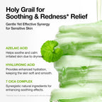ANUA -Soothing and Brightening Pad Duo (Azelaic Acid & Niacinamide)