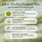 ARENCIA-*renew* Fresh Green Rice Mochi Cleanser 120g