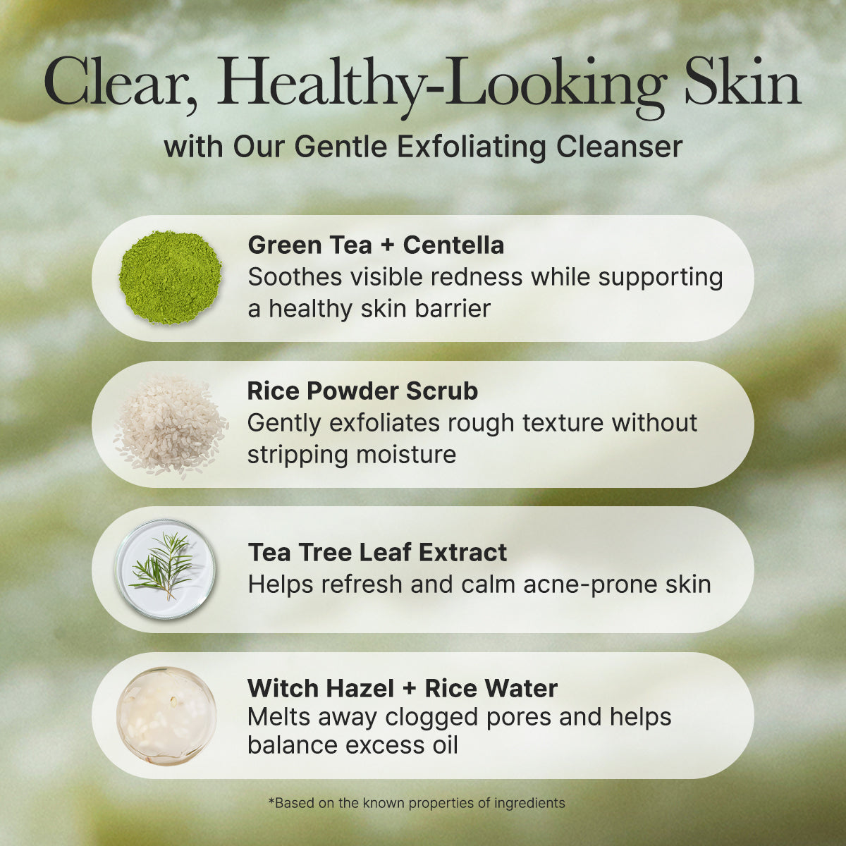 ARENCIA-*renew* Fresh Green Rice Mochi Cleanser 120g