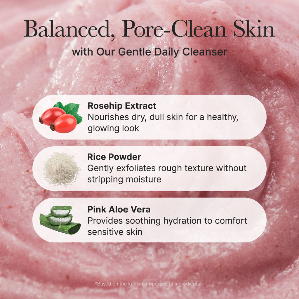 ARENCIA-*renew* Fresh Rosehip Rice Mochi Cleanser 120g