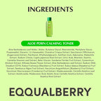 EQQUALBERRY Aloe PDRN Calming Toner (150ml)